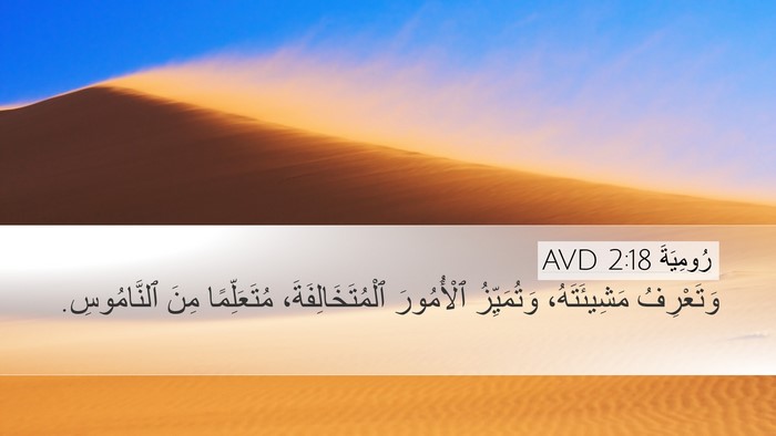 رُومِيَةَ 2:18 AVD Bible Verse Image