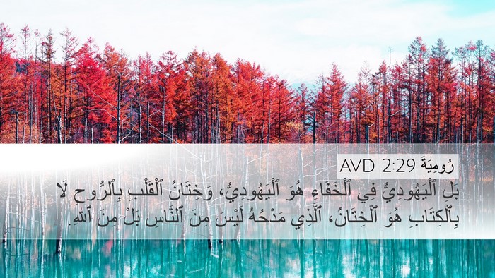 رُومِيَةَ 2:29 AVD Bible Verse Image