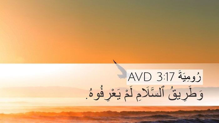 رُومِيَةَ 3:17 AVD Desktop Wallpaper - وَطَرِيقُ ٱلسَّلَامِ لَمْ - Desktop Bible Verse Wallpaper