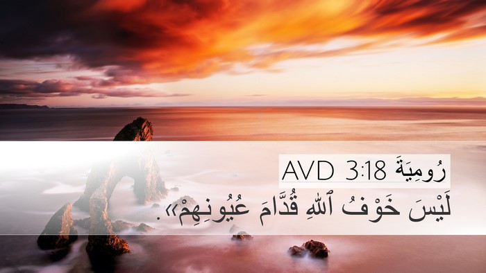رُومِيَةَ 3:18 AVD Bible Verse Image