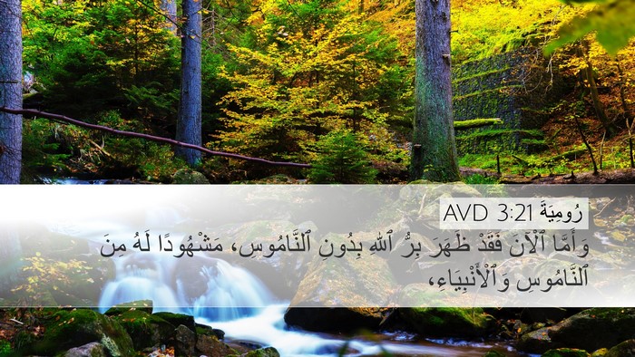رُومِيَةَ 3:21 AVD Bible Verse Image
