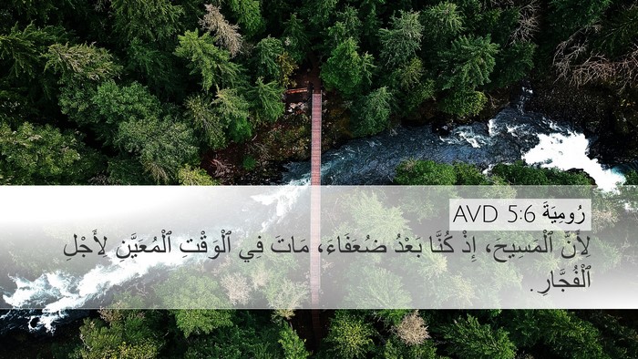رُومِيَةَ 5:6 AVD Bible Verse Image