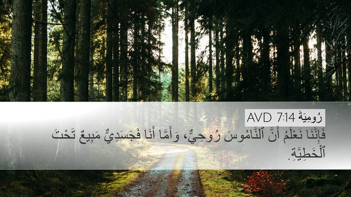 رُومِيَةَ 7:14 AVD Bible Verse Image