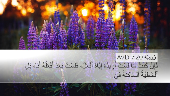 رُومِيَةَ 7:20 AVD Bible Verse Image