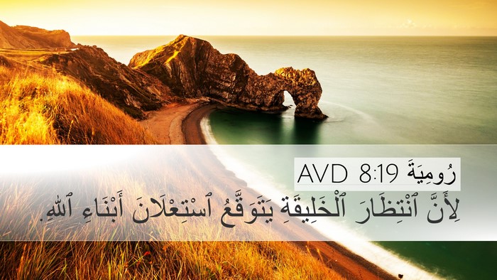 رُومِيَةَ 8:19 AVD Bible Verse Image