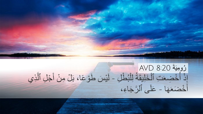 رُومِيَةَ 8:20 AVD Bible Verse Image