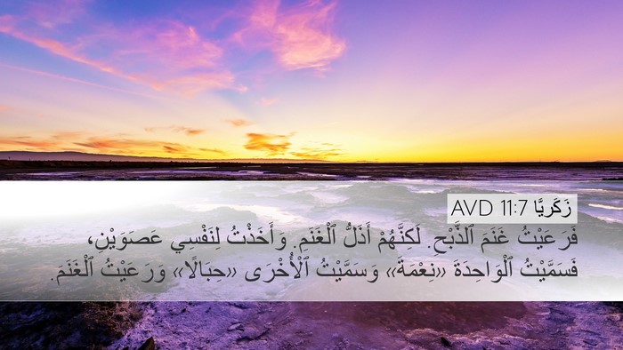 زَكَريَّا 11:7 AVD Bible Verse Image