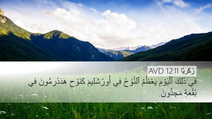 زَكَريَّا 12:11 AVD Desktop Wallpaper - فِي ذَلِكَ ٱلْيَوْمِ - Desktop Bible Verse Wallpaper