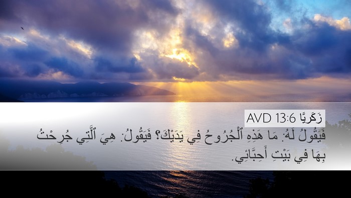 زَكَريَّا 13:6 AVD Desktop Wallpaper - فَيَقُولُ لَهُ: مَا هَذِهِ - Desktop Bible Verse Wallpaper