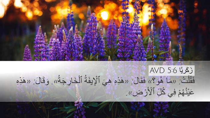 زَكَريَّا 5:6 AVD Desktop Wallpaper - فَقُلْتُ: «مَا هُوَ؟» - Desktop Bible Verse Wallpaper