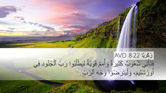 زَكَريَّا 8:22 AVD Desktop Wallpaper - فَتَأْتِي شُعُوبٌ - Desktop Bible Verse Wallpaper