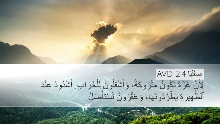 صَفَنْيَا 2:4 AVD Bible Verse Image