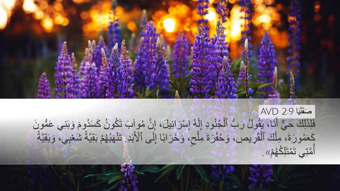 صَفَنْيَا 2:9 AVD Bible Verse Image