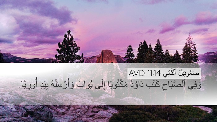 صَمُوئِيلَ ٱلثَّانِي 11:14 AVD Desktop Wallpaper - وَفِي ٱلصَّبَاحِ كَتَبَ - Desktop Bible Verse Wallpaper