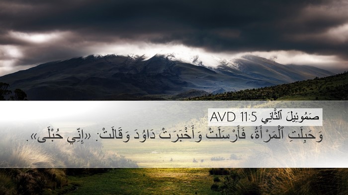 صَمُوئِيلَ ٱلثَّانِي 11:5 AVD Desktop Wallpaper - وَحَبِلَتِ ٱلْمَرْأَةُ، - Desktop Bible Verse Wallpaper