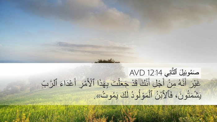 صَمُوئِيلَ ٱلثَّانِي 12:14 AVD Bible Verse Image