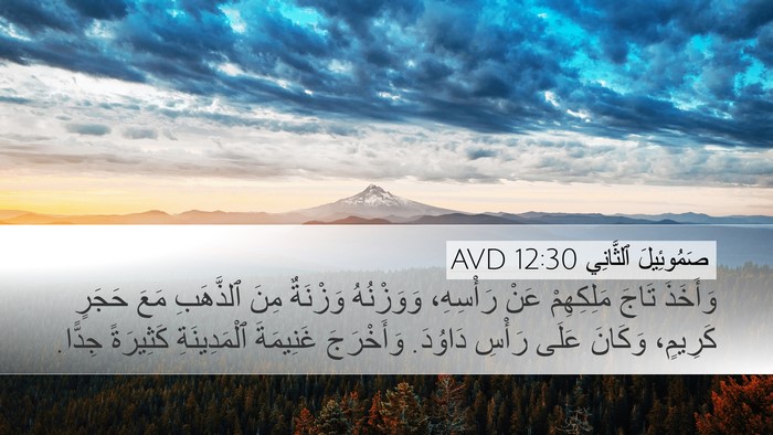 صَمُوئِيلَ ٱلثَّانِي 12:30 AVD Bible Verse Image