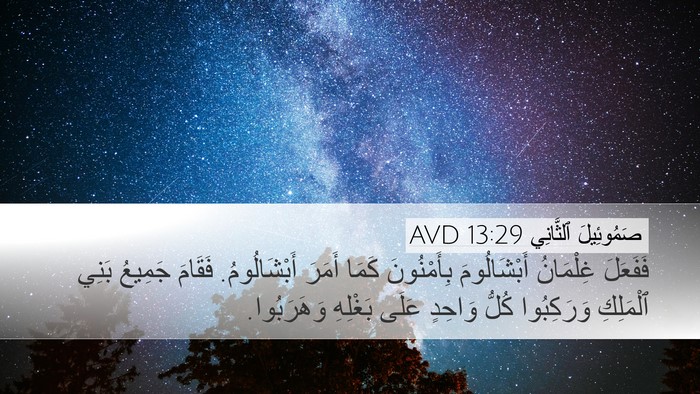 صَمُوئِيلَ ٱلثَّانِي 13:29 AVD Bible Verse Image