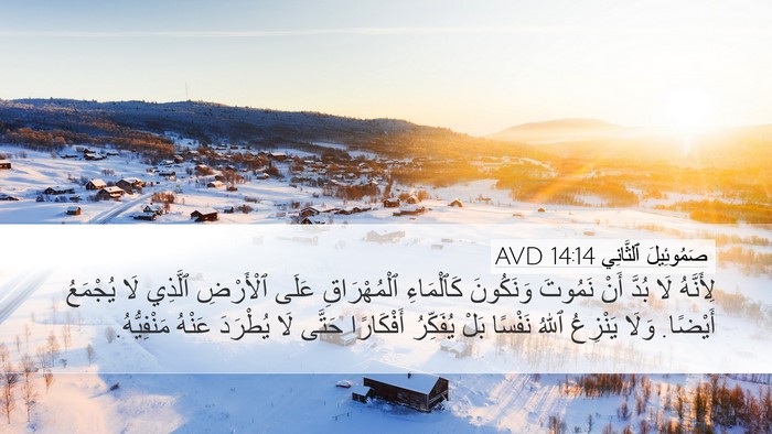 صَمُوئِيلَ ٱلثَّانِي 14:14 AVD Bible Verse Image