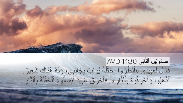 صَمُوئِيلَ ٱلثَّانِي 14:30 AVD Bible Verse Image