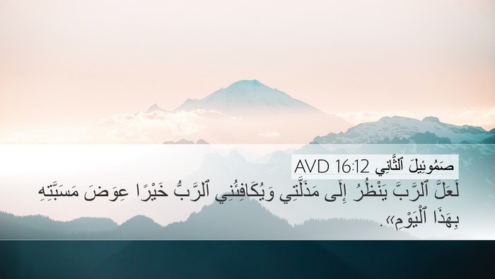 صَمُوئِيلَ ٱلثَّانِي 16:12 AVD Desktop Wallpaper - لَعَلَّ ٱلرَّبَّ يَنْظُرُ - Desktop Bible Verse Wallpaper