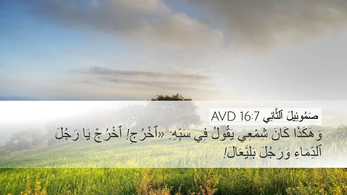 صَمُوئِيلَ ٱلثَّانِي 16:7 AVD Bible Verse Image