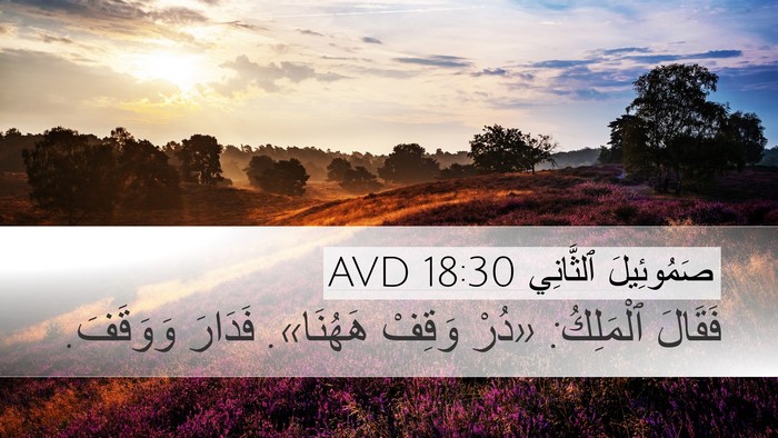 صَمُوئِيلَ ٱلثَّانِي 18:30 AVD Desktop Wallpaper - فَقَالَ ٱلْمَلِكُ: «دُرْ - Desktop Bible Verse Wallpaper