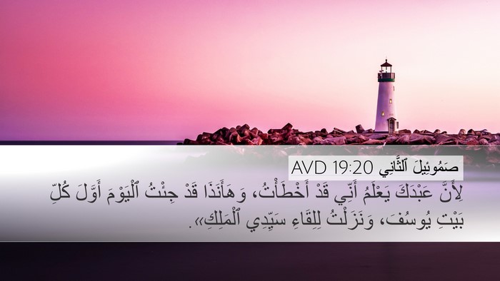 صَمُوئِيلَ ٱلثَّانِي 19:20 AVD Bible Verse Image