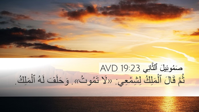 صَمُوئِيلَ ٱلثَّانِي 19:23 AVD Bible Verse Image