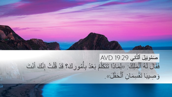 صَمُوئِيلَ ٱلثَّانِي 19:29 AVD Desktop Wallpaper - فَقَالَ لَهُ ٱلْمَلِكُ: - Desktop Bible Verse Wallpaper