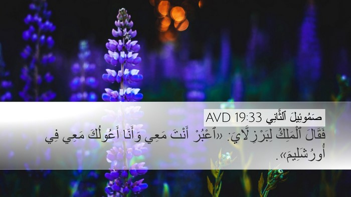 صَمُوئِيلَ ٱلثَّانِي 19:33 AVD Desktop Wallpaper - فَقَالَ ٱلْمَلِكُ - Desktop Bible Verse Wallpaper