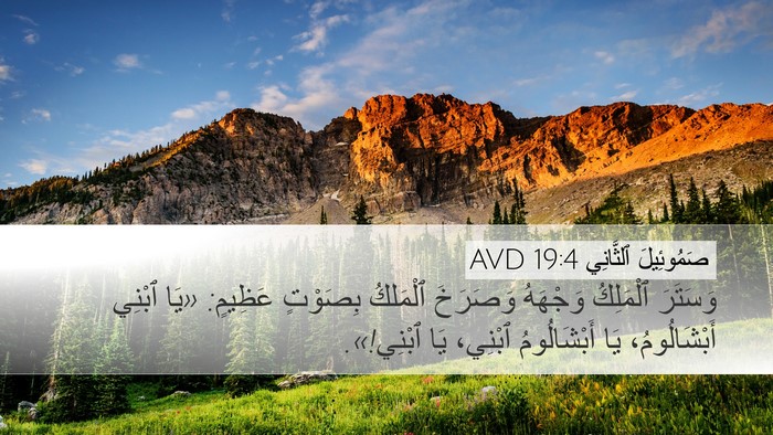 صَمُوئِيلَ ٱلثَّانِي 19:4 AVD Bible Verse Image