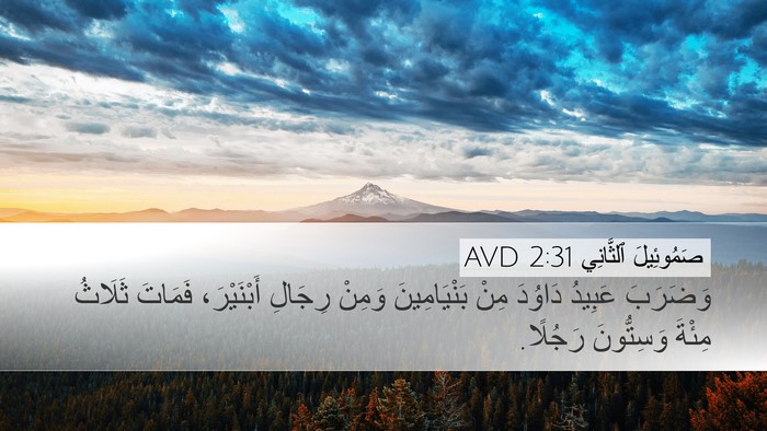 صَمُوئِيلَ ٱلثَّانِي 2:31 AVD Bible Verse Image