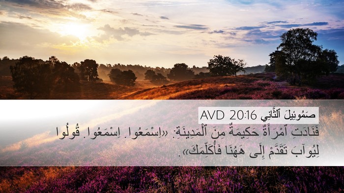 صَمُوئِيلَ ٱلثَّانِي 20:16 AVD Bible Verse Image