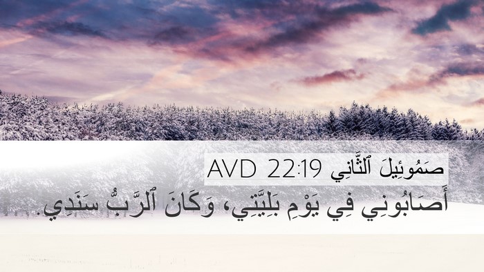 صَمُوئِيلَ ٱلثَّانِي 22:19 AVD Bible Verse Image