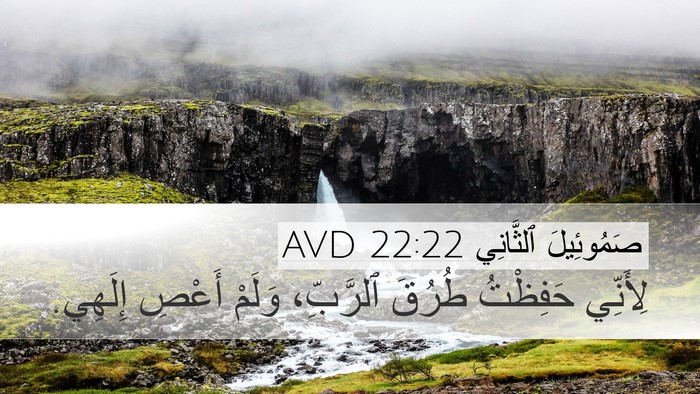 صَمُوئِيلَ ٱلثَّانِي 22:22 AVD Desktop Wallpaper - لِأَنِّي حَفِظْتُ طُرُقَ - Desktop Bible Verse Wallpaper