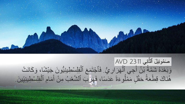 صَمُوئِيلَ ٱلثَّانِي 23:11 AVD Desktop Wallpaper - وَبَعْدَهُ شَمَّةُ بْنُ - Desktop Bible Verse Wallpaper