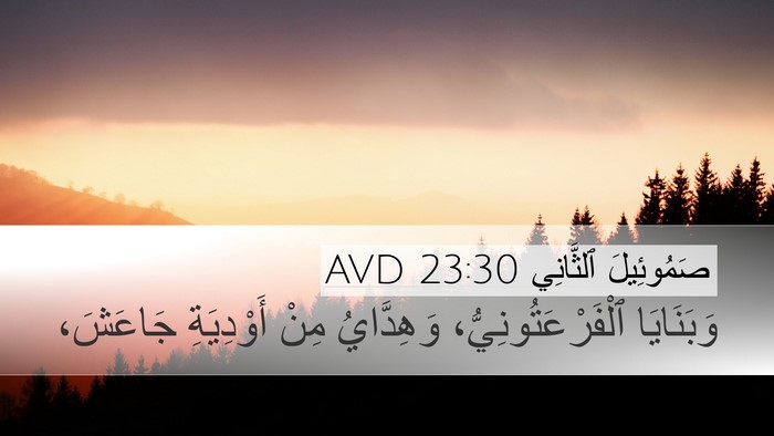 صَمُوئِيلَ ٱلثَّانِي 23:30 AVD Bible Verse Image
