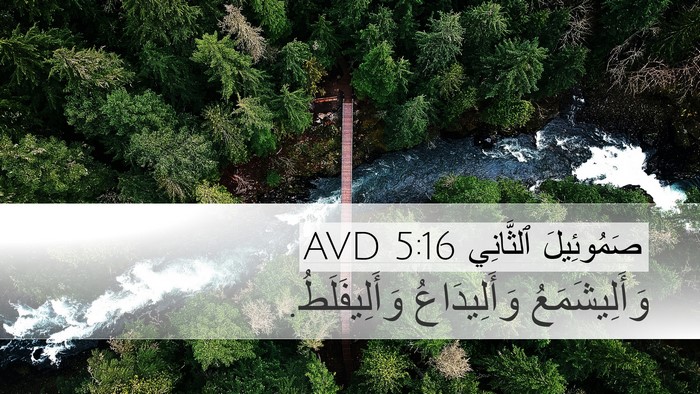 صَمُوئِيلَ ٱلثَّانِي 5:16 AVD Desktop Wallpaper - وَأَلِيشَمَعُ - Desktop Bible Verse Wallpaper