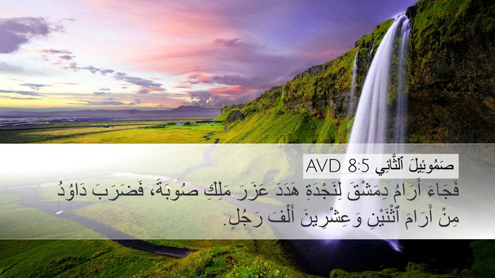 صَمُوئِيلَ ٱلثَّانِي 8:5 AVD Bible Verse Image