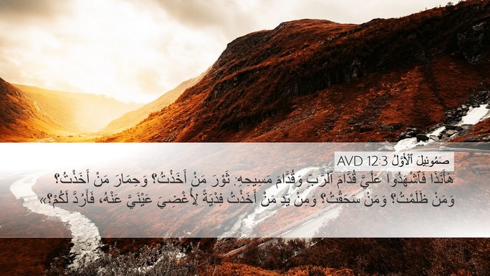 صَمُوئِيلَ ٱلْأَوَّلُ 12:3 AVD Desktop Wallpaper - هَأَنَذَا فَٱشْهَدُوا - Desktop Bible Verse Wallpaper