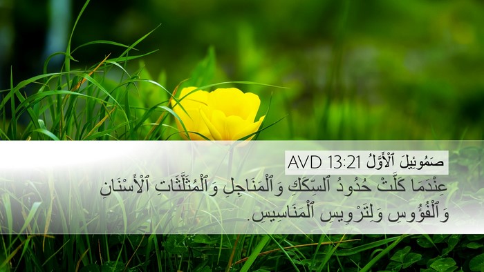 صَمُوئِيلَ ٱلْأَوَّلُ 13:21 AVD Desktop Wallpaper - عِنْدَمَا كَلَّتْ حُدُودُ - Desktop Bible Verse Wallpaper