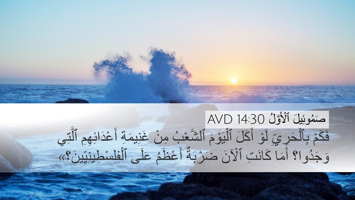 صَمُوئِيلَ ٱلْأَوَّلُ 14:30 AVD Desktop Wallpaper - فَكَمْ بِٱلْحَرِيِّ لَوْ - Desktop Bible Verse Wallpaper