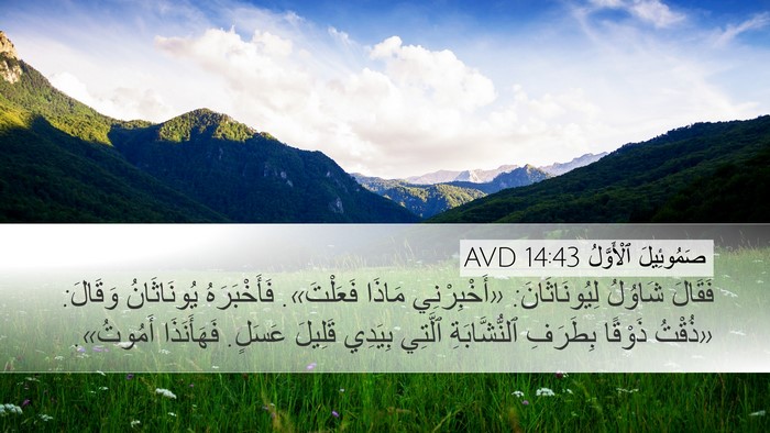 صَمُوئِيلَ ٱلْأَوَّلُ 14:43 AVD Bible Verse Image