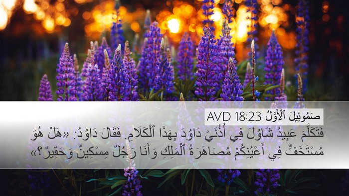 صَمُوئِيلَ ٱلْأَوَّلُ 18:23 AVD Bible Verse Image