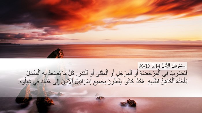 صَمُوئِيلَ ٱلْأَوَّلُ 2:14 AVD Desktop Wallpaper - فَيَضْرِبُ فِي - Desktop Bible Verse Wallpaper