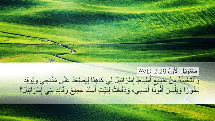 صَمُوئِيلَ ٱلْأَوَّلُ 2:28 AVD Bible Verse Image