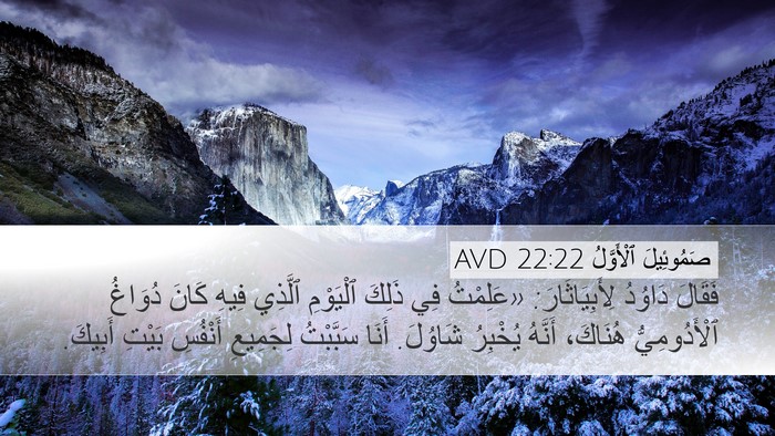 صَمُوئِيلَ ٱلْأَوَّلُ 22:22 AVD Desktop Wallpaper - فَقَالَ دَاوُدُ - Desktop Bible Verse Wallpaper
