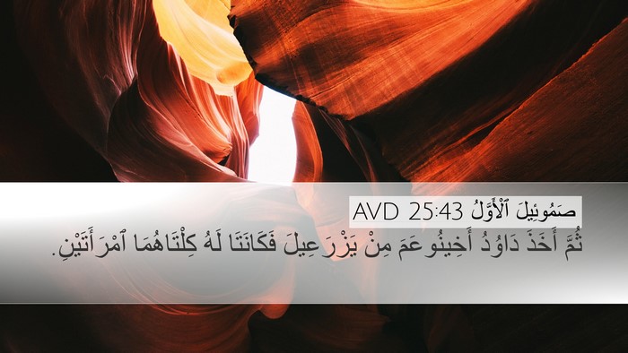 صَمُوئِيلَ ٱلْأَوَّلُ 25:43 AVD Desktop Wallpaper - ثُمَّ أَخَذَ دَاوُدُ - Desktop Bible Verse Wallpaper
