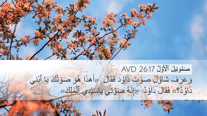 صَمُوئِيلَ ٱلْأَوَّلُ 26:17 AVD Desktop Wallpaper - وَعَرَفَ شَاوُلُ صَوْتَ - Desktop Bible Verse Wallpaper
